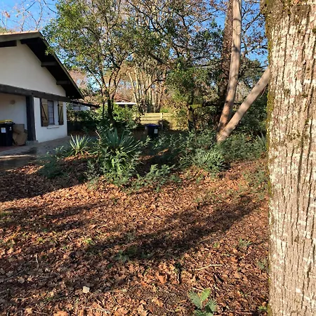Les Cles Du Bassin Holiday home *